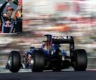 Mark Webber - Red Bull - Suzuka 2010 (Sınıflandırılmış 2 º)